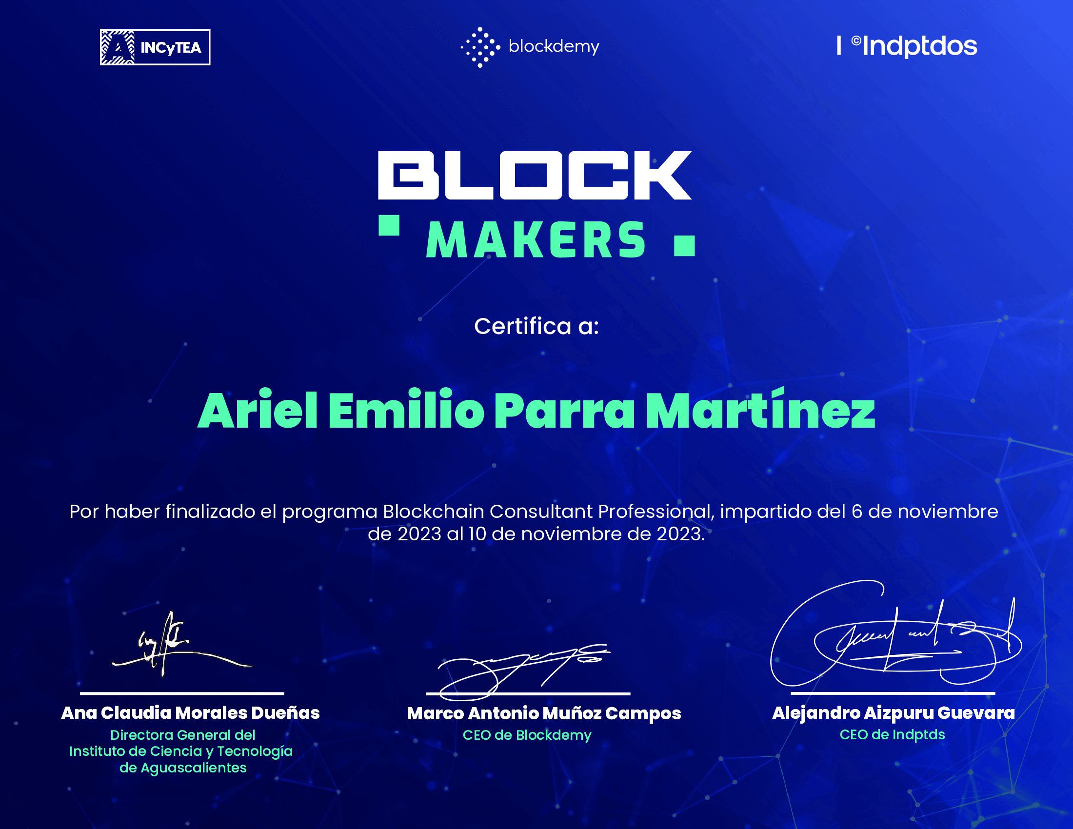 Blockchain Consultant Professional image